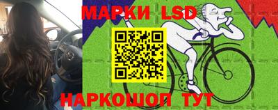 apvp Заволжье