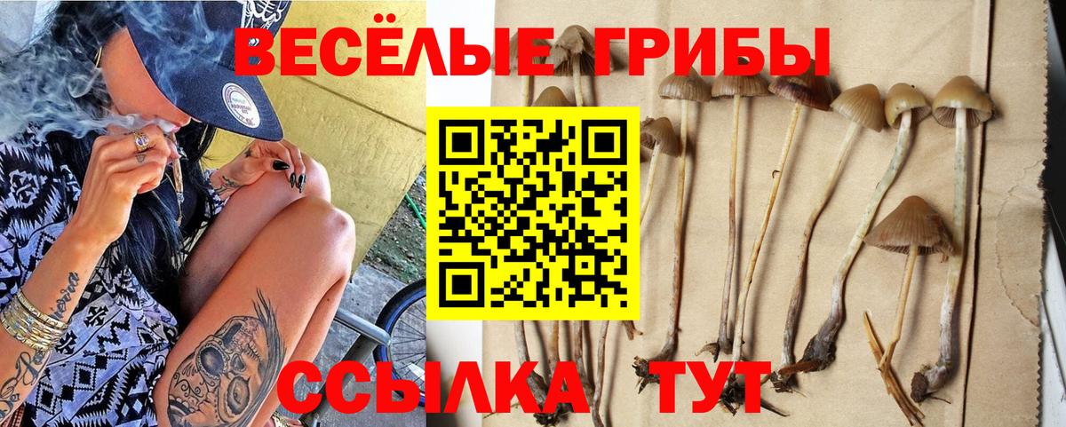 Псилоцибиновые грибы GOLDEN TEACHER  Вход с VPN  продажа наркотиков  Медногорск 