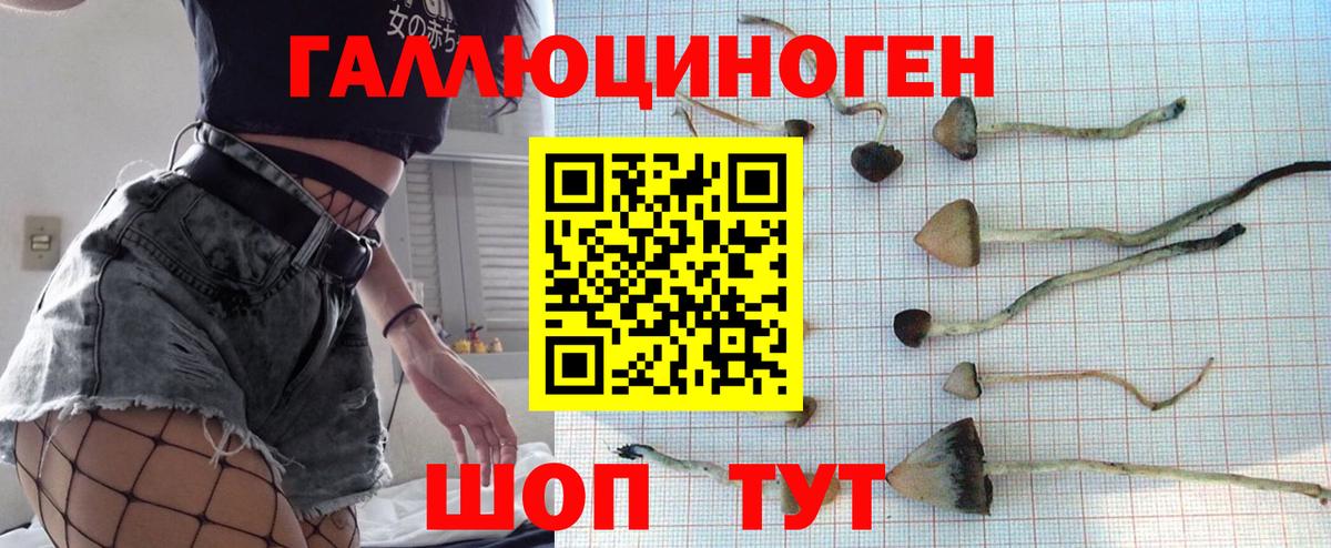 Галлюциногенные грибы Magic Shrooms Медногорск